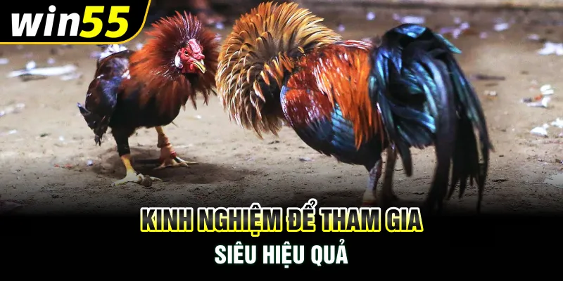 Kinh nghiệm để tham gia siêu hiệu quả